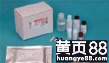 探索生命科學邊界 武漢市古泰生物技術有限責任公司主營試劑、抗體與耗材業務解析